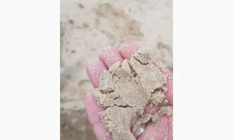 Чернозем, растительный грунт, торфокрошка, торф. Ворзель. Клавдиево. Мироцкое. Буча - фото № 5