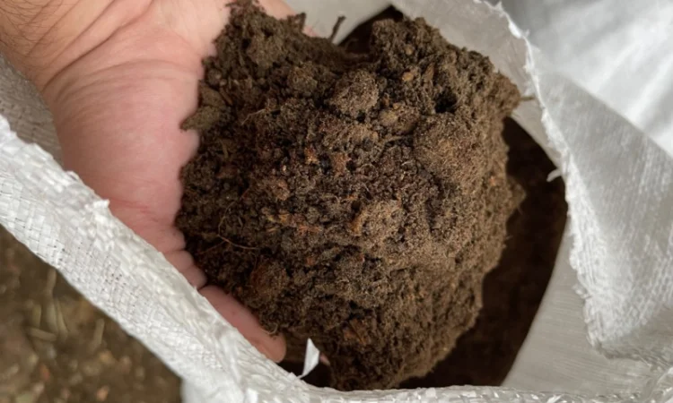 Продам торф, родючий грунт, земля для розсади - фото № 1