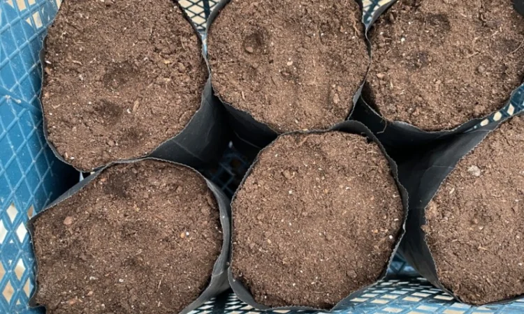 Продам торф, родючий грунт, земля для розсади - фото № 4