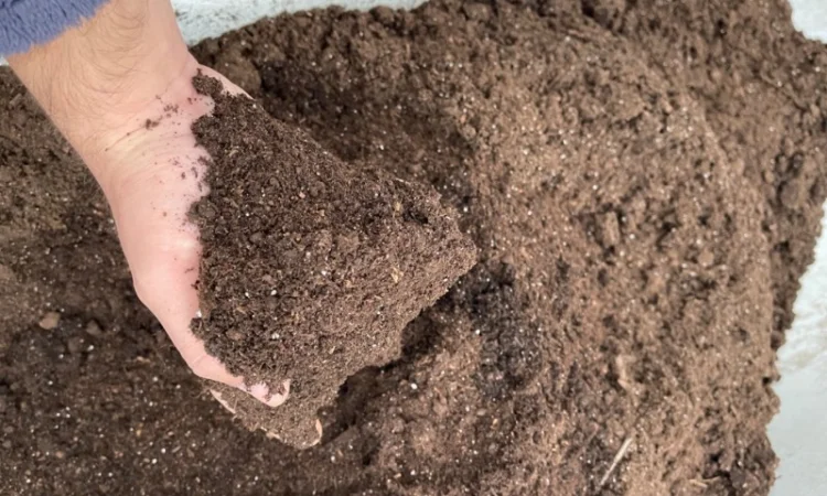 Продам торф, родючий грунт, земля для розсади - фото № 6