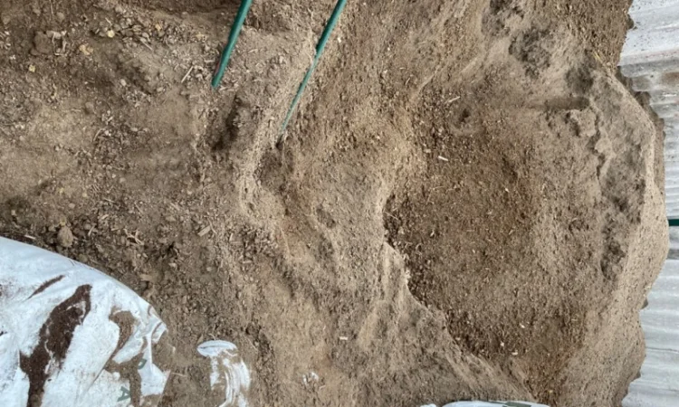 Продам торф, родючий грунт, земля для розсади - фото № 7