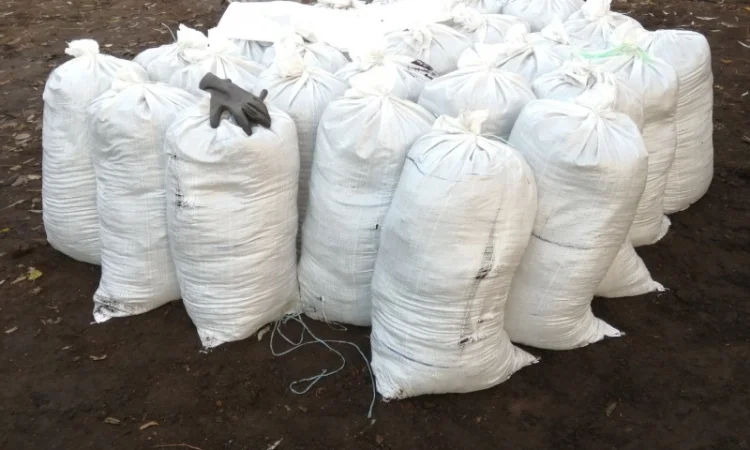 Чернозем в мешках Борщаговка Берковци Почва Грунт в мешках Киев - фото № 6