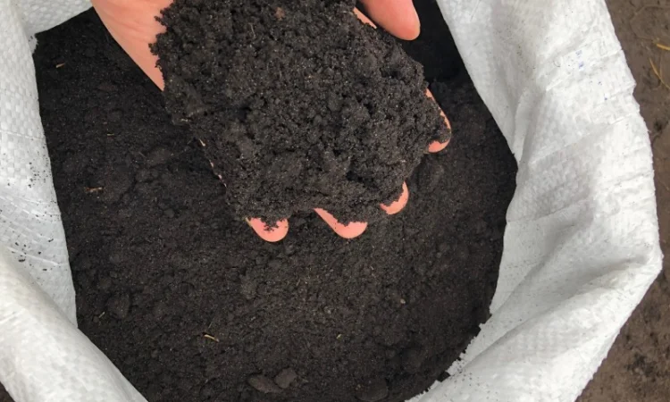 Чернозем для сада огорода Киев Грунт в мешках Киев Почва Киев - фото № 1