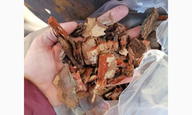 Чернозем для сада огорода Киев Грунт в мешках Киев Почва Киев - фото № 9