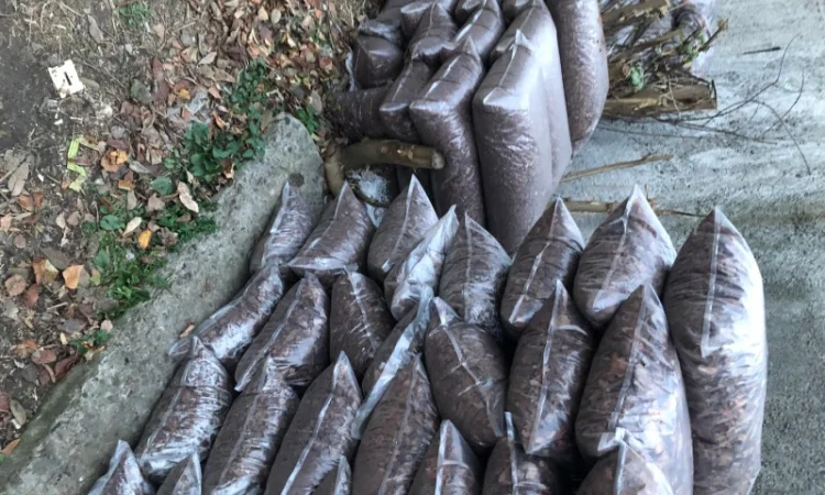 Грунт Чернозем в мешках купить Киев и область Чернозем Ирпень Стоянка - фото № 10