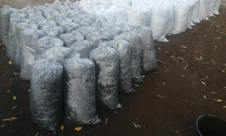 Грунт Чернозем в мешках купить Киев и область Чернозем Ирпень Стоянка - фото № 6