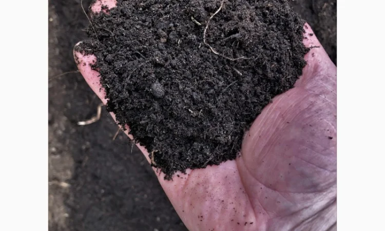 Грунт Чернозем в мешках купить Киев и область Чернозем Ирпень Стоянка - фото № 1