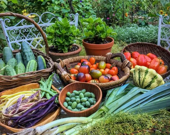 Чернозем Борщаговка Чернозем в мешках Борщаговка Доставка Перегной в мешках - фото № 10