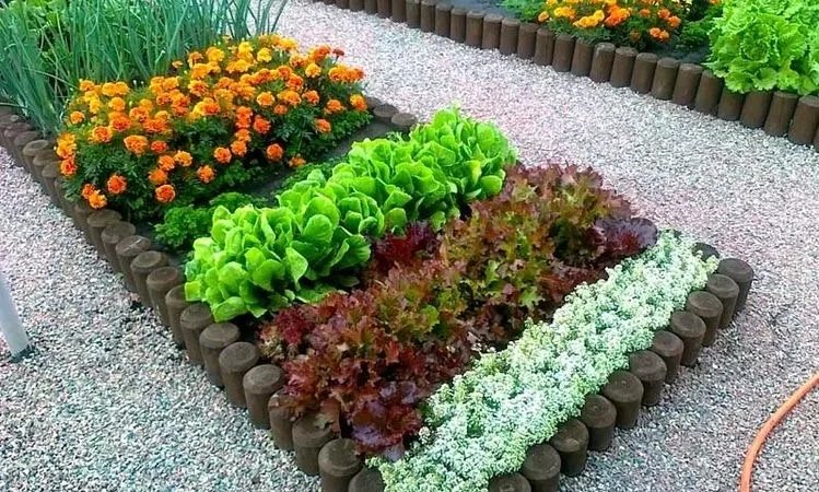 Чернозем Борщаговка Чернозем в мешках Борщаговка Доставка Перегной в мешках - фото № 11