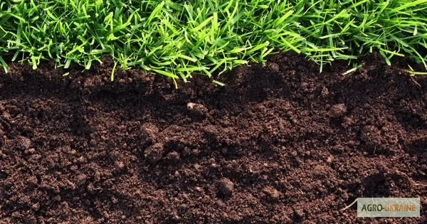 Чернозем Борщаговка Чернозем в мешках Борщаговка Доставка Перегной в мешках - фото № 4