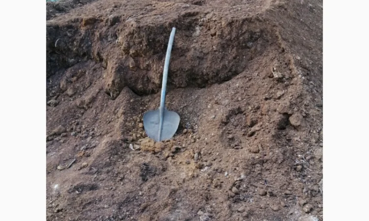 Чернозем Борщаговка Чернозем в мешках Борщаговка Доставка Перегной в мешках - фото № 8