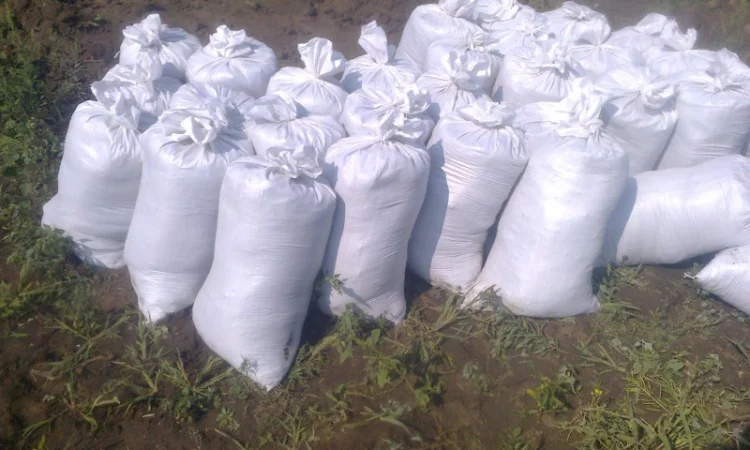 Якісний чорнозем в мішках – доставка по Києву - фото № 5