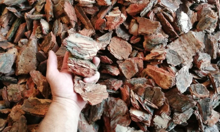 Якісний чорнозем в мішках – доставка по Києву - фото № 7