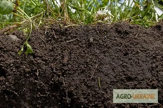 Чернозем в мешках Новоселки Хотов Грунт Чернозем Теремки Голосеевский район - фото № 4