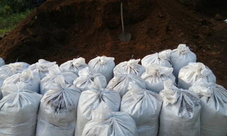 Чернозем в мешках Конча-Заспа Козын Доставка чернозема Конча-Заспа - фото № 8