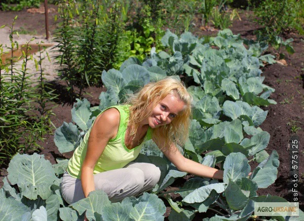 Грунт для цветов клумб сада огорода Киевская область Киев - фото № 1