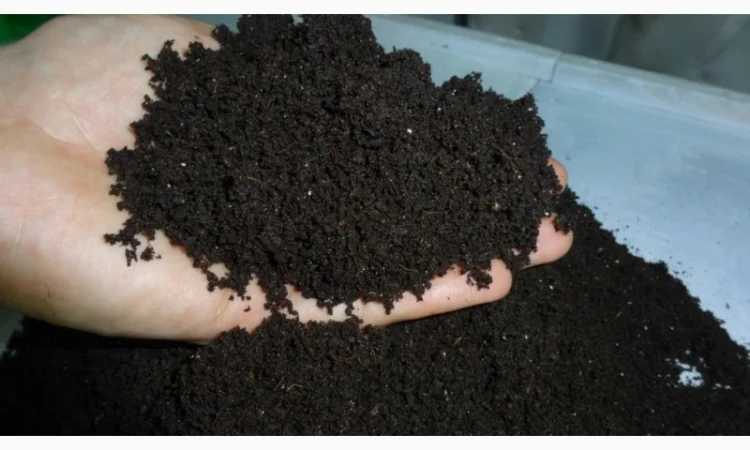 Грунт для цветов клумб сада огорода Киевская область Киев - фото № 6