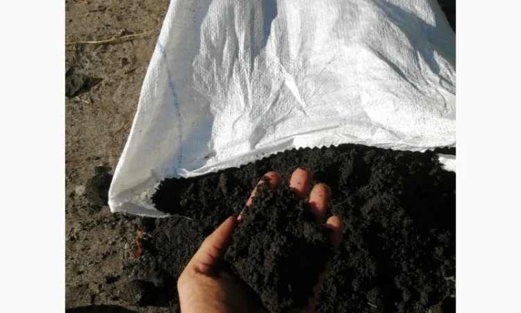 Грунт для цветов клумб сада огорода Киевская область Киев - фото № 7