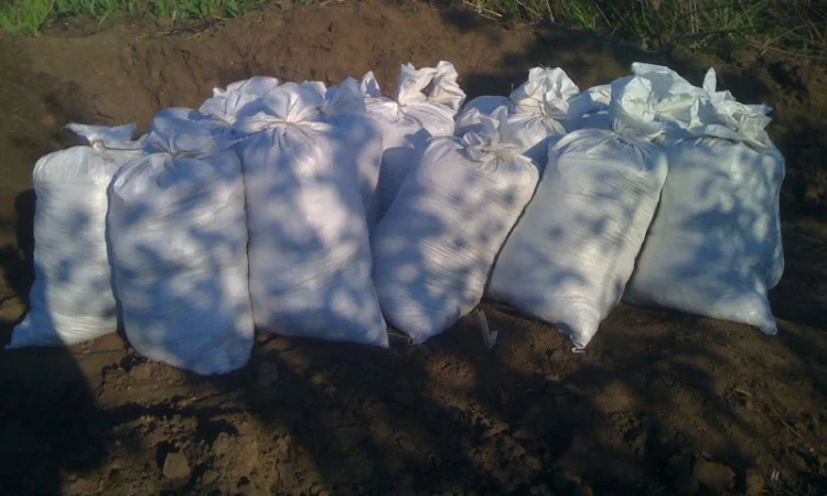 Чернозем земля для цветов Киев Земля для роз Грунт для цветов Киев - фото № 4