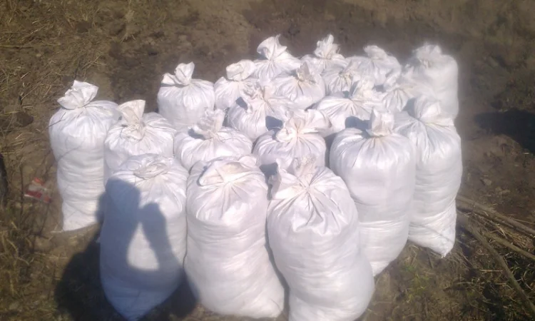 Грунт Чернозем в мешках Киевская область Конча заспа Чернозем Киев - фото № 3