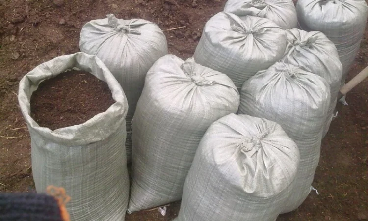 Грунт Чернозем в мешках Киевская область Конча заспа Чернозем Киев - фото № 8