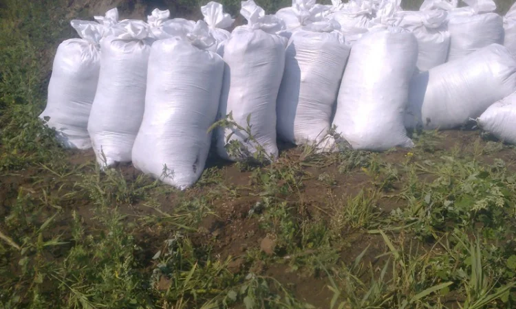 Грунт для газона Киевская область Субстрат в мешках по 50 кг Киев Перегной - фото № 1