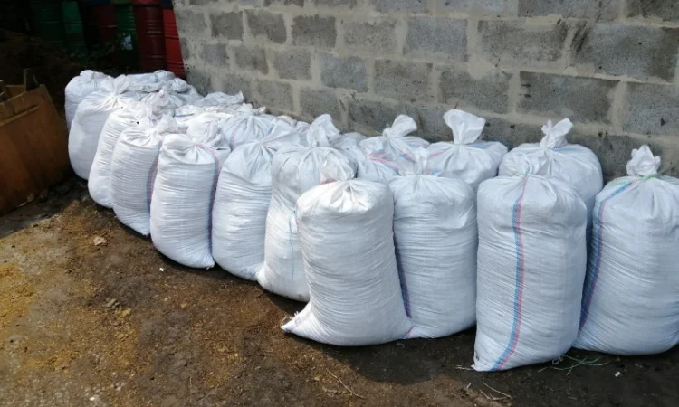 Грунт для газона Киевская область Субстрат в мешках по 50 кг Киев Перегной - фото № 2