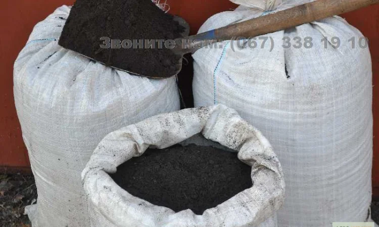 Грунт Чернозем в мешках Ирпень Пуща чернозем Киевская область купить Чернозем не дорого - фото № 1
