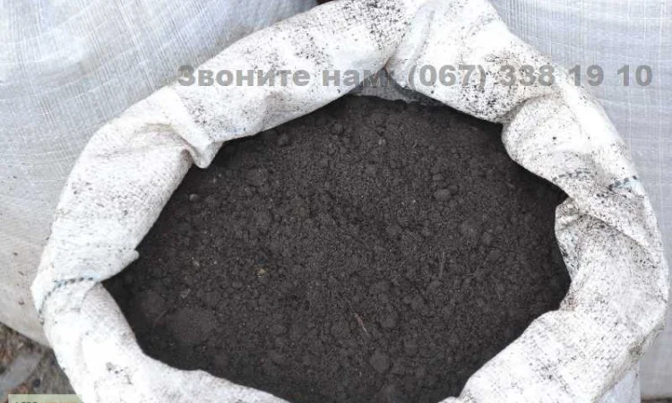 Грунт Чернозем в мешках Ирпень Пуща чернозем Киевская область купить Чернозем не дорого - фото № 3