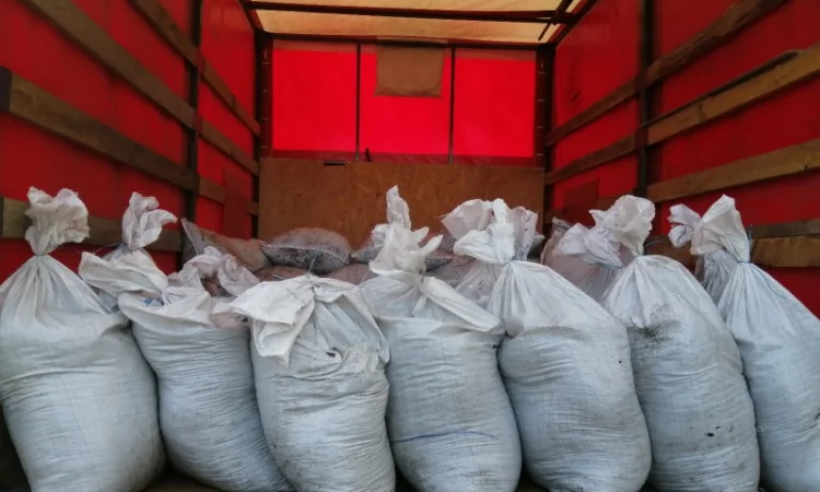 Чернозем купить Киев Чернозем в мешках Киевская область Перегной - фото № 6