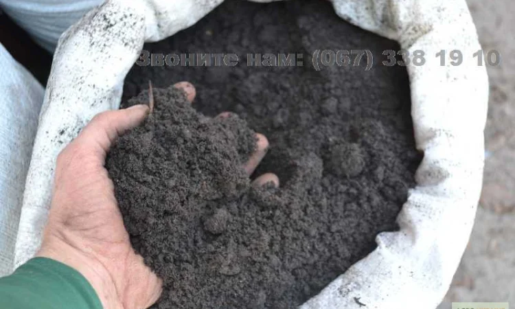 Чернозем Отрадный Академгородок Киев, купить грунт в мешках - фото № 3