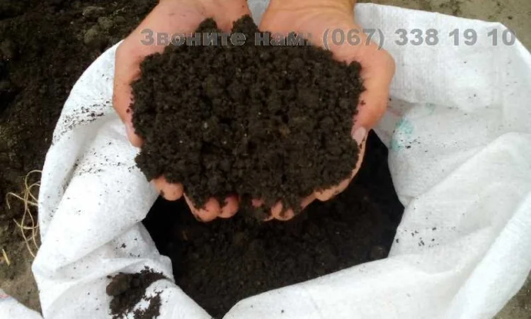 Грунт для газона Киев Грунт для посадки хвойных Чернозем Киевская область Торф - фото № 4
