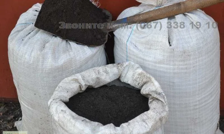 Грунт в мешках Киев Чернозем Киевская область Субстрат для газона, для посадки - фото № 1