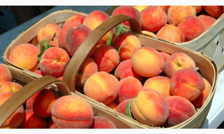 Чернозем недорого Киев Отрадный Борщаговка Чернозем в мешках Перегной - фото № 9