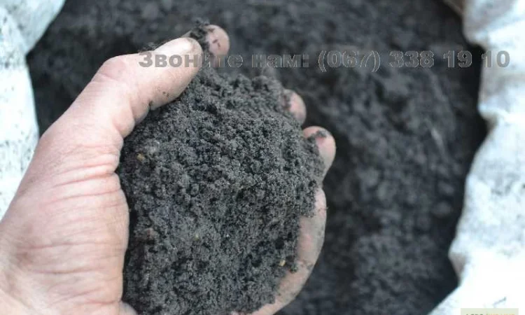 Грунт для газона Киев и область Перегной Чернозем в мешках Киев - фото № 4