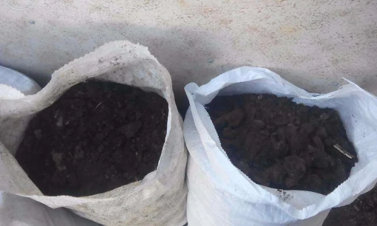 Чернозем, перегной конский (навоз) в мешках, торф - фото № 1