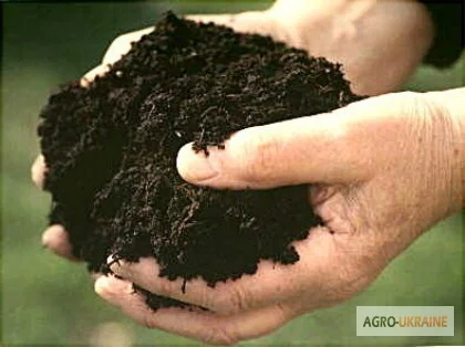 Чернозем, перегной конский (навоз) в мешках, торф - фото № 3