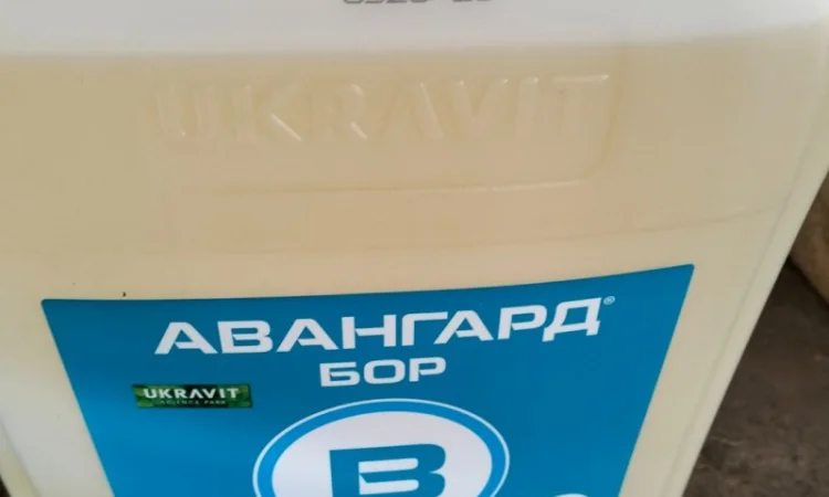 Авангард БОР – мікродобриво для рослин - фото № 1