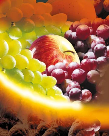 Ортус - акарацид проти кліщів і комах з ефектом «нокаутуючої дії» - фото № 2