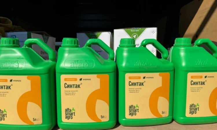 Синтак – двокомпонентний інсектоакарицид для захисту від кліщів на всіх стадіях розвитку - фото № 1