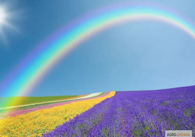 Продаём средства защиты,  микроудобрения и стимуляторы роста растений.Оптовые цены - фото № 1