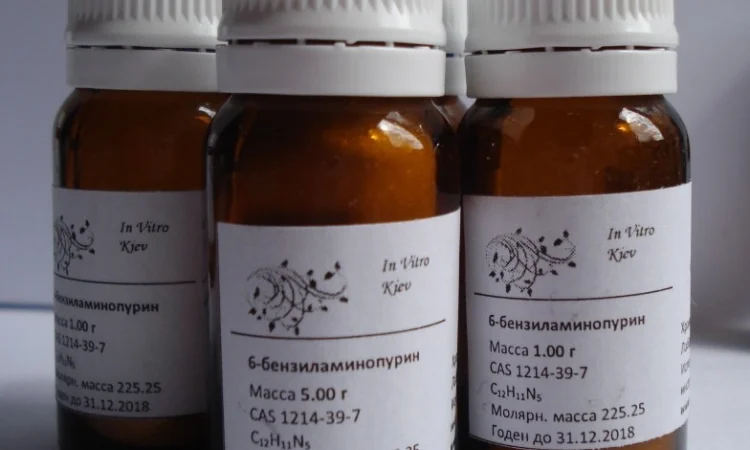 6-бензиламинопурин 6-БАП бензиладенин цитокинин - фото № 1