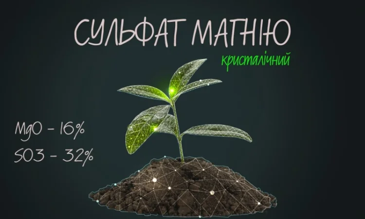Сульфат магнію кристалічний MgO - 16%, SO3 - 32% (Сульфат магния) - фото № 1