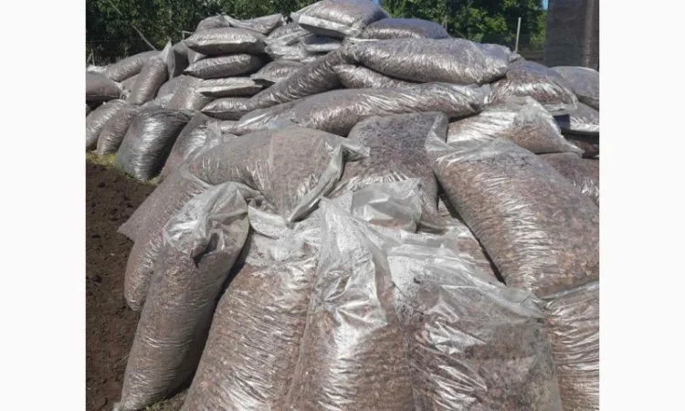 Кора соснова для мульчування лохини. Дрібна фракція. Мішки 50 літрів - фото № 1