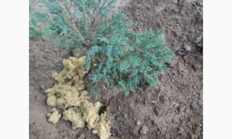 Удобрение.Базальтовая основа для корневой системы - фото № 3