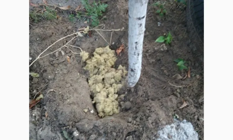 Удобрение.Базальтовая основа для корневой системы - фото № 4