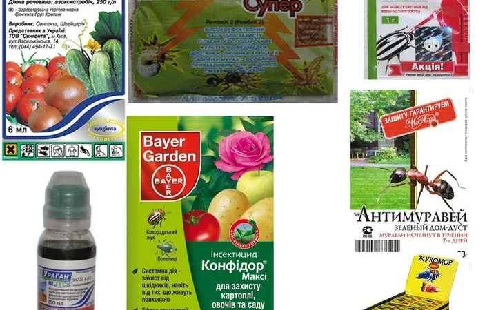 Куплю атара, конфидор, ратибор,  спасатели, ампулы, престиж, татту, хорус - фото № 1