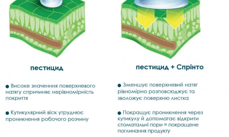 Адьювант Спрінто - фото № 1