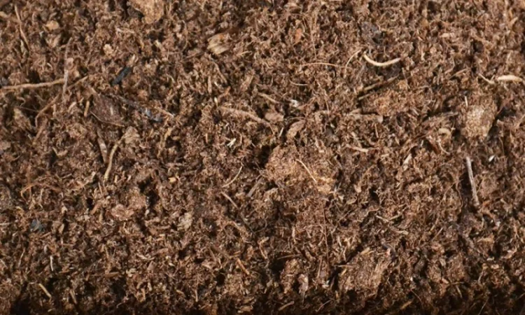 Торф верховой оптом купить по цене завода изготовителя (беларусь) - фото № 9