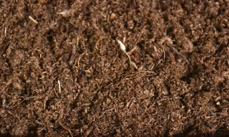 Торф верховой оптом купить по цене завода изготовителя (беларусь) - фото № 10